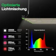 Vivosun VSFD6500 Vollspektrum LED Pflanzenlampe Lichtbalken 650W, abnehmbares Design mit 6 Dimmoptionen, 150 x 150 cm Abdeckfläche