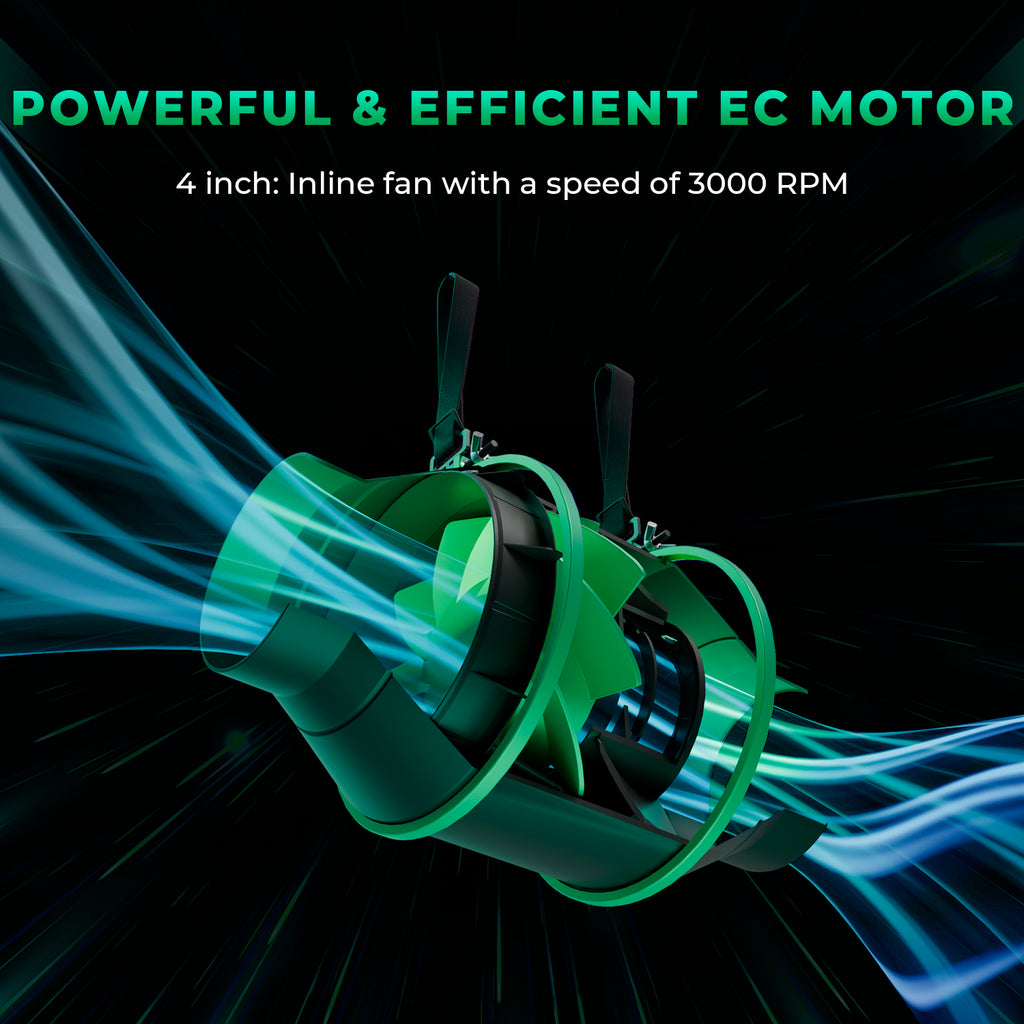 Mars Hydro TSL 2000 Growbox Komplettset 300W LED Pflanzenlampe+120x60x180cm Growbox +4“ Belüftungssystem