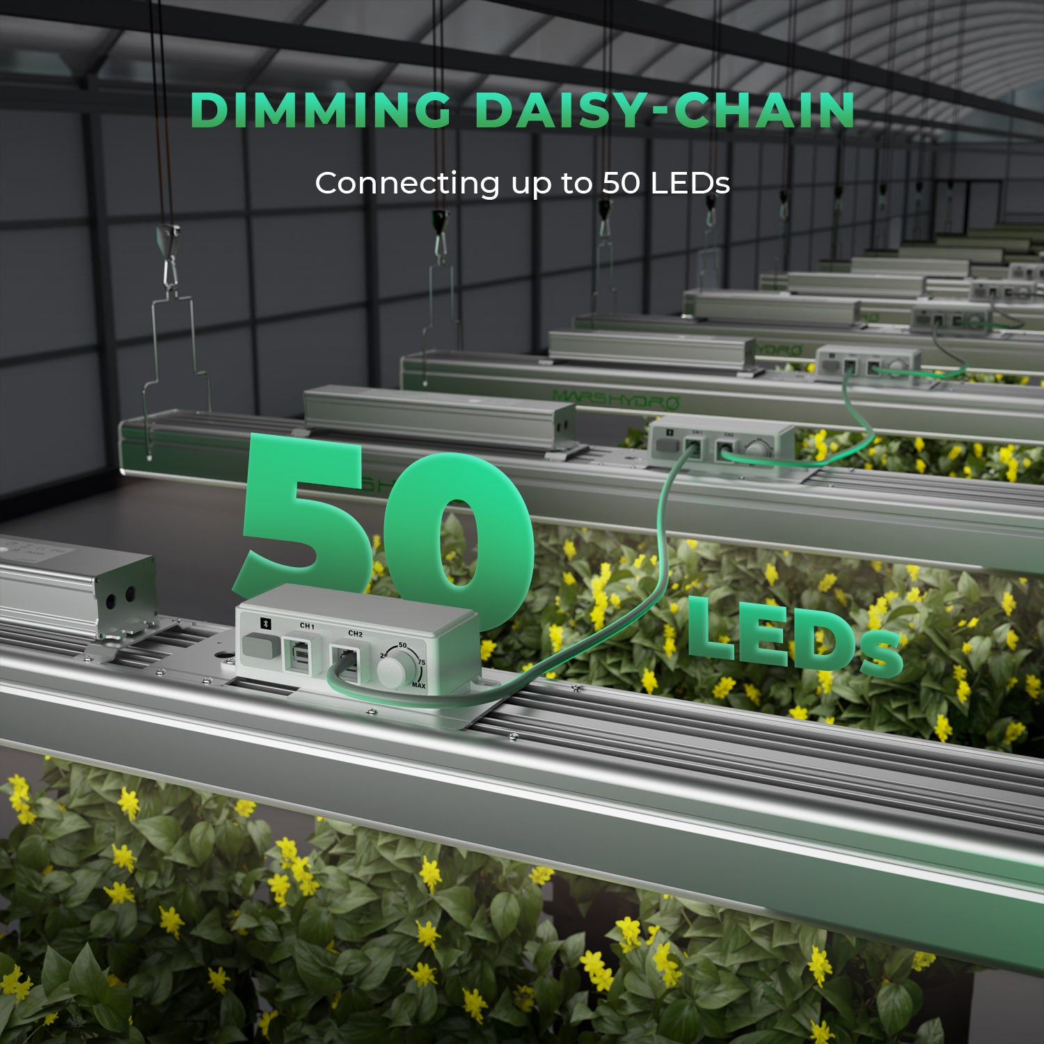 Mars Hydro neues SP 3000 300W Vollspektrum-LED-Wachstumslicht mit hoher Intensität für das Indoor-Wachstum