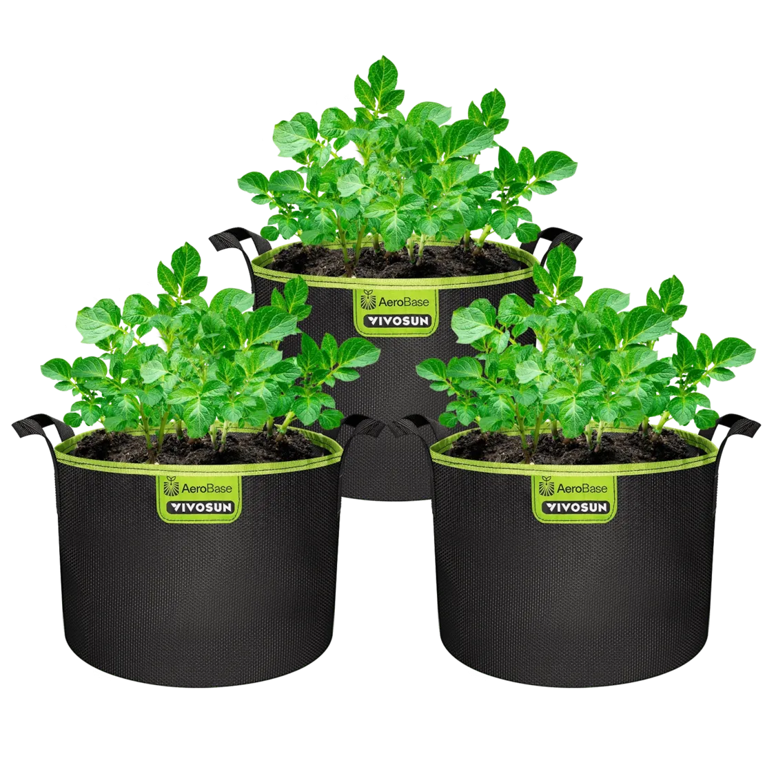 Vivosun 3er-Pack 20L AeroBase Grow Bag, strapazierfähiger Mesh-Gewebe-Pflanzenbehälter mit atmungsaktivem Boden und stabilen Griffen, Schwarz