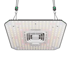 Vivosun AeroLight A100 LED Pflanzenlampe mit Einstellbarem Spektrum 100W, mit Integriertem Zirkulationsventilator, Kompatibel mit App, 60 x 60 cm Abdeckfläche