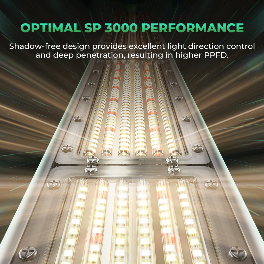 Mars Hydro neues SP 3000 300W Vollspektrum-LED-Wachstumslicht mit hoher Intensität für das Indoor-Wachstum