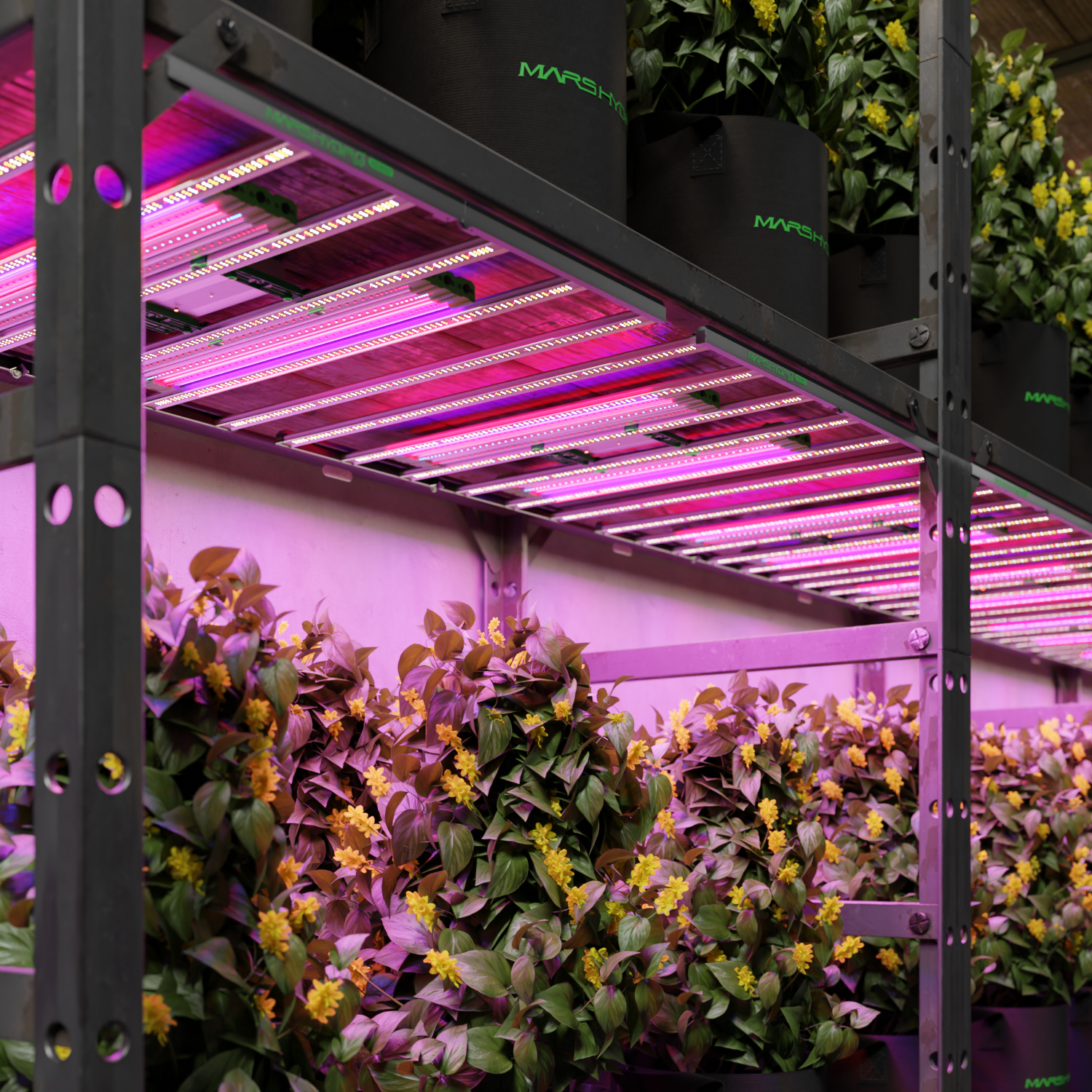 [Smart Control Kit] 2025 Mars Hydro ADlite Ergänzendes LED Wachstumslichtleisten-Set – UV30 + IR15 + Rot30 + Blau30 mit iTime Smart Controller