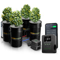 Intelligente Steuerung – Mars Hydro DWC (Deep Water Culture) 4 Eimer Hydroponisches Anbausystem-Kit mit iTime für intelligente Steuerung