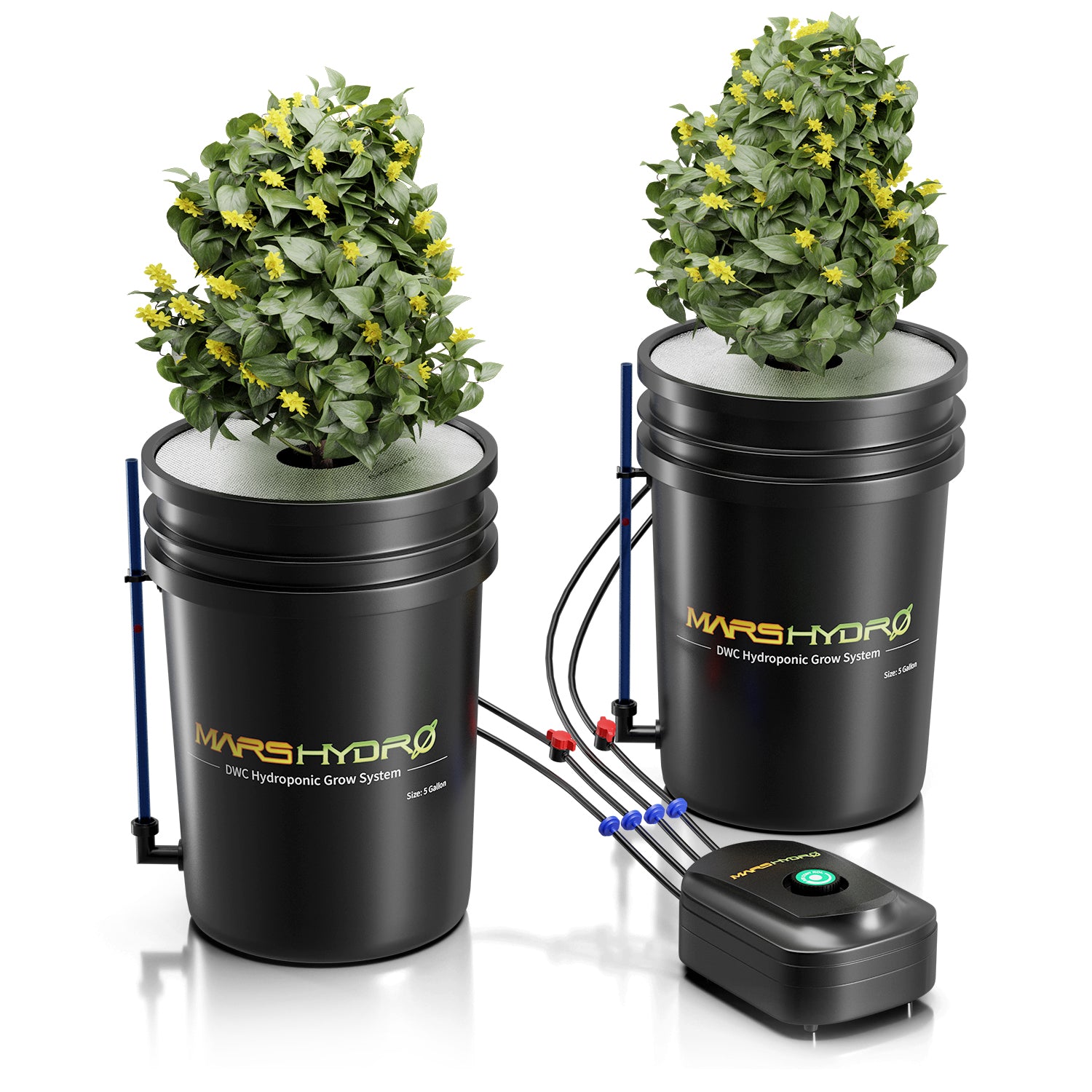 Premium Mars Hydro 5-Gallonen-DWC-Hydroponiksystem-Kit mit 2 Eimern (je 8 Zoll)