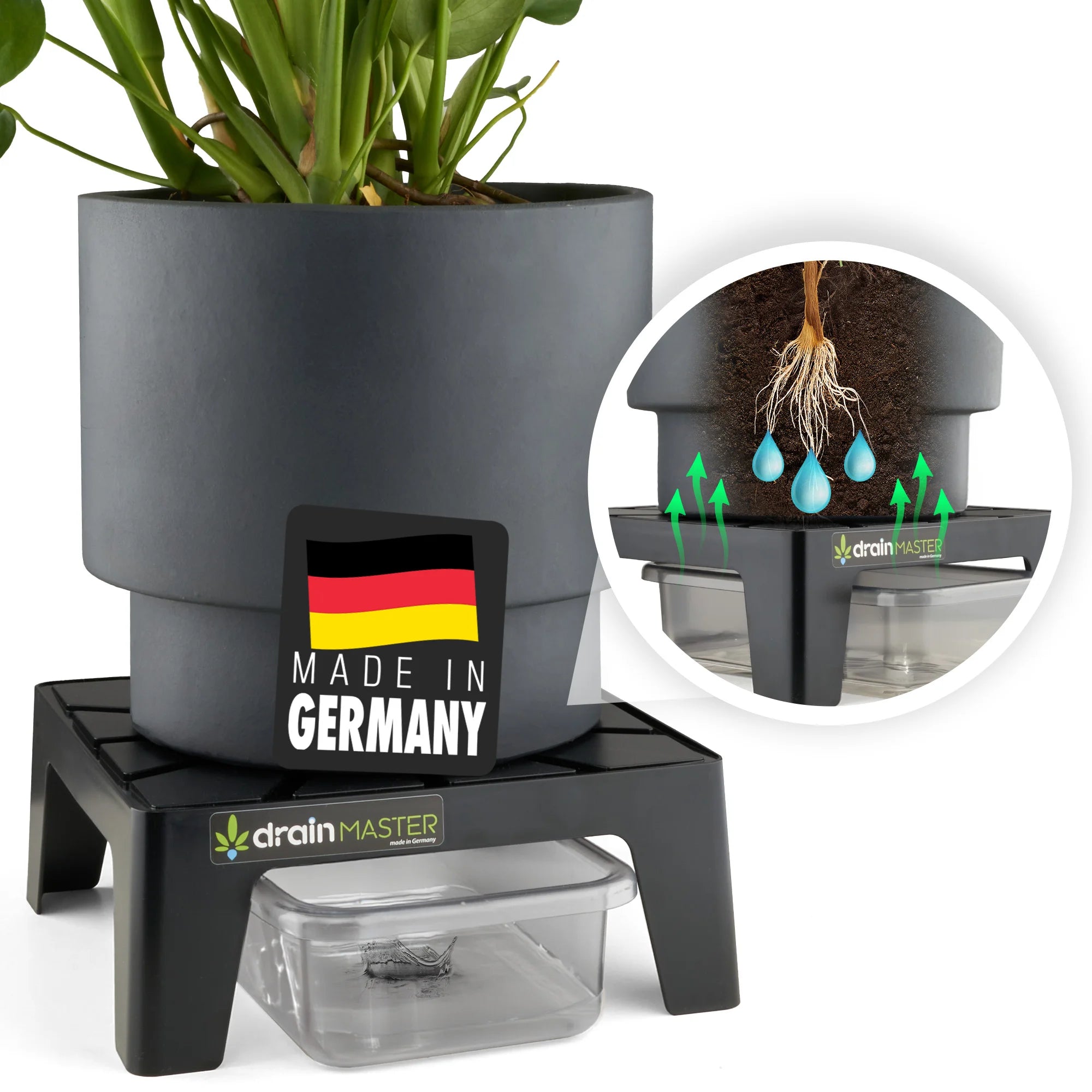 DrainMaster inkl. Wanne 10er Set