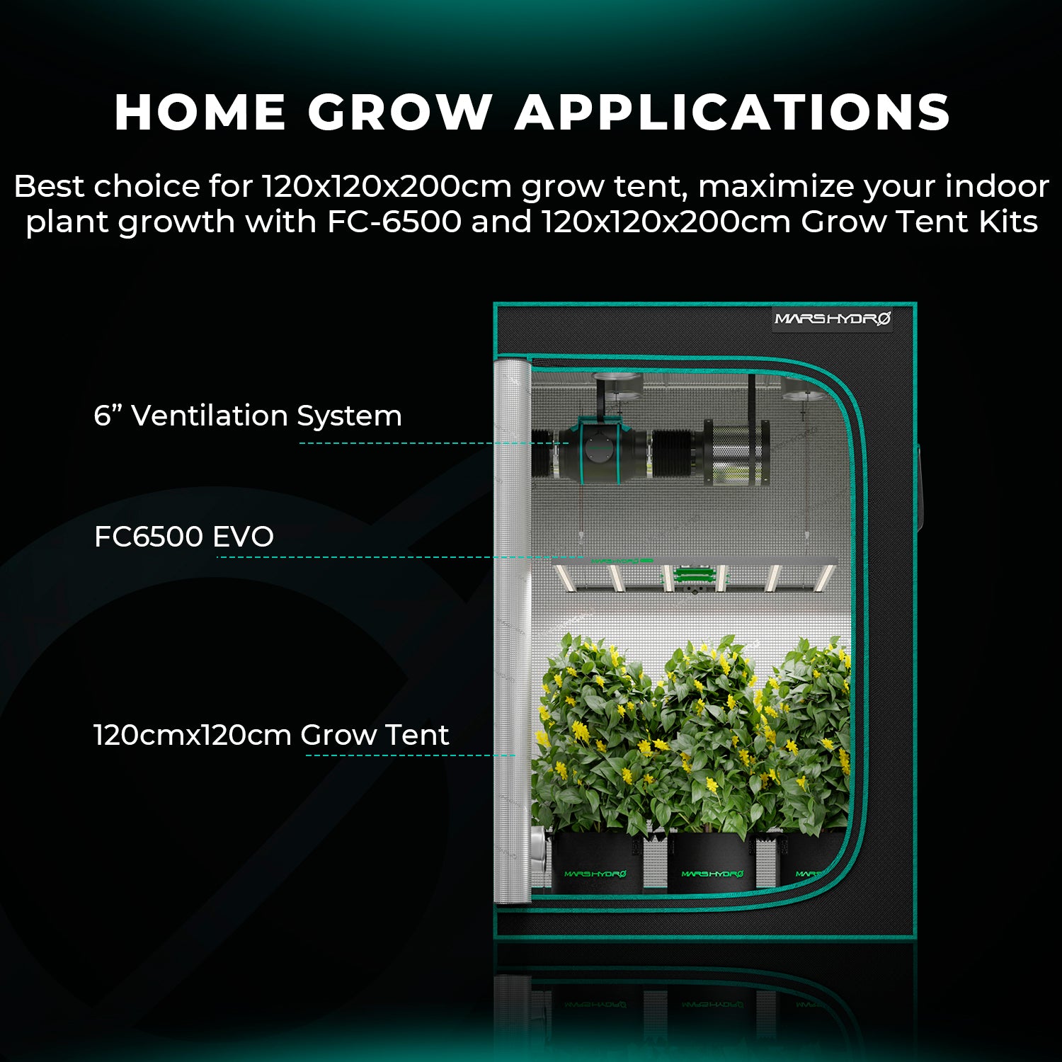 Heißer Verkauf – Mars Hydro FC 6500-EVO Samsung LM301H EVO LED Pflanzenlampe