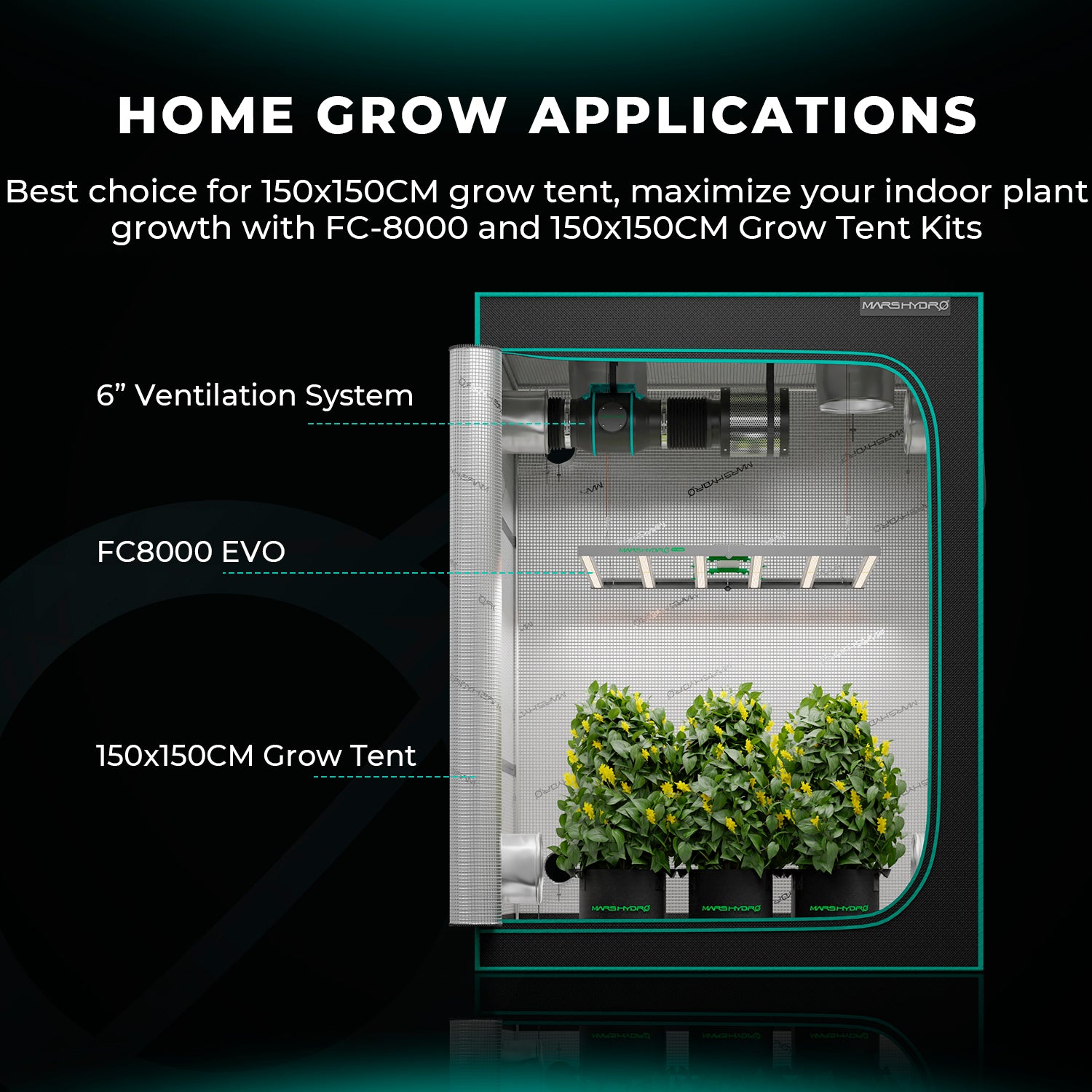 Heißer Verkauf – Mars Hydro FC 8000-EVO Samsung LM301H EVO LED Pflanzenlampe