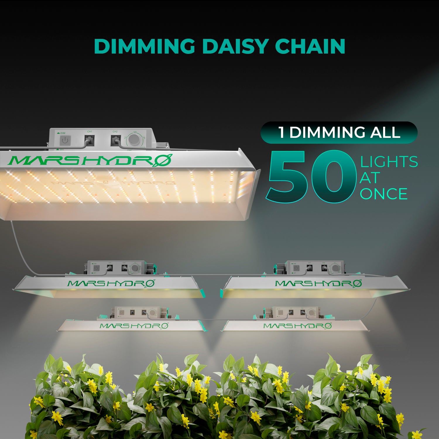 Mars Hydro TS1000 LED Grow Lampe-150W Vollspektrum für mittlere Setups