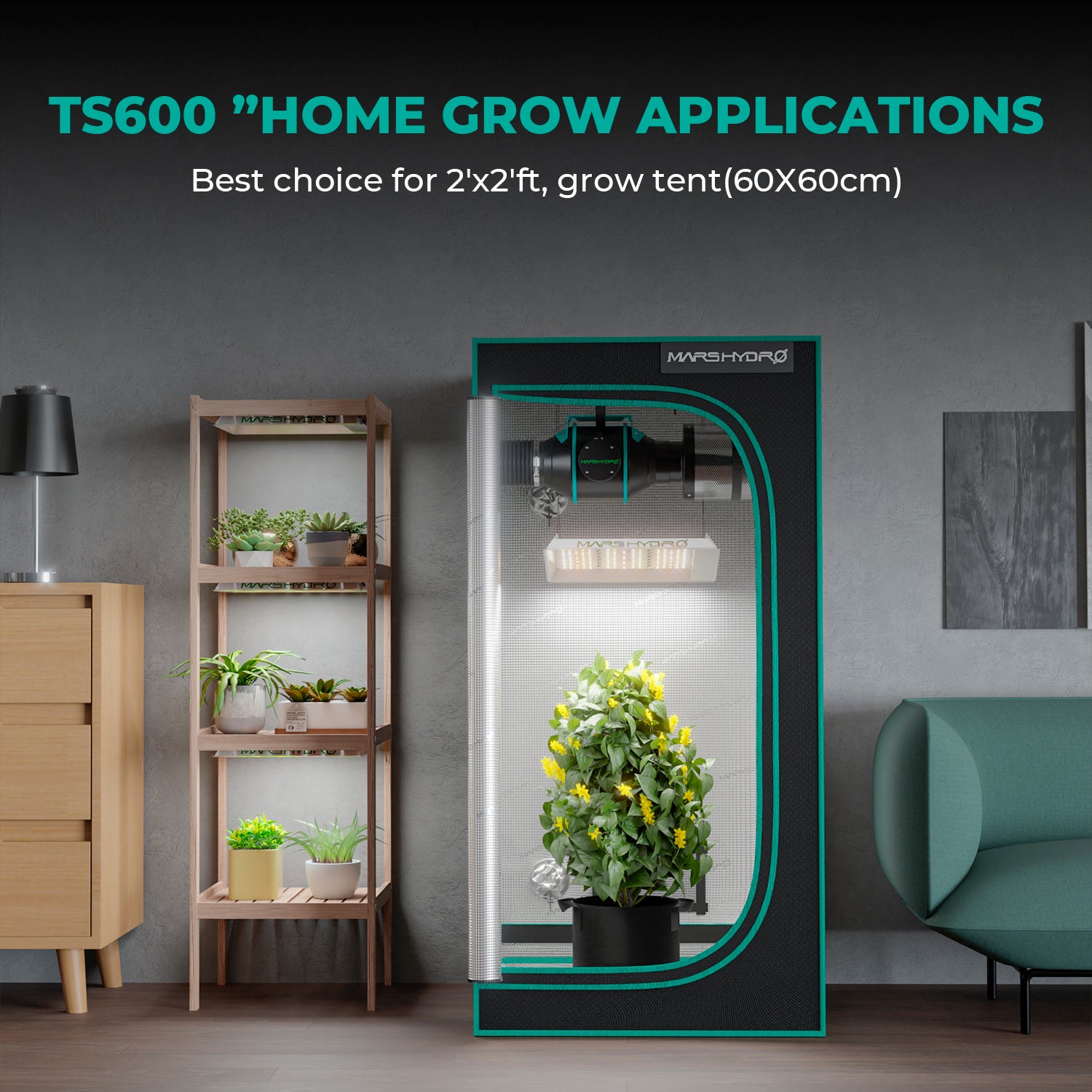 Komplettset 100W LED Pflanzenlampe+60x60x140cm Indoor-Zelt+4“ Belüftungssystem für Anfänger