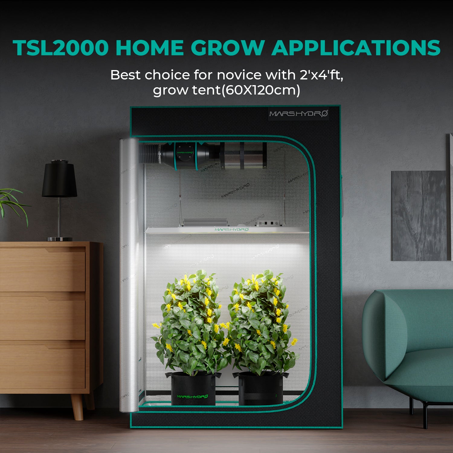 Mars Hydro TSL Grow Lampe-300W Vollspektrum