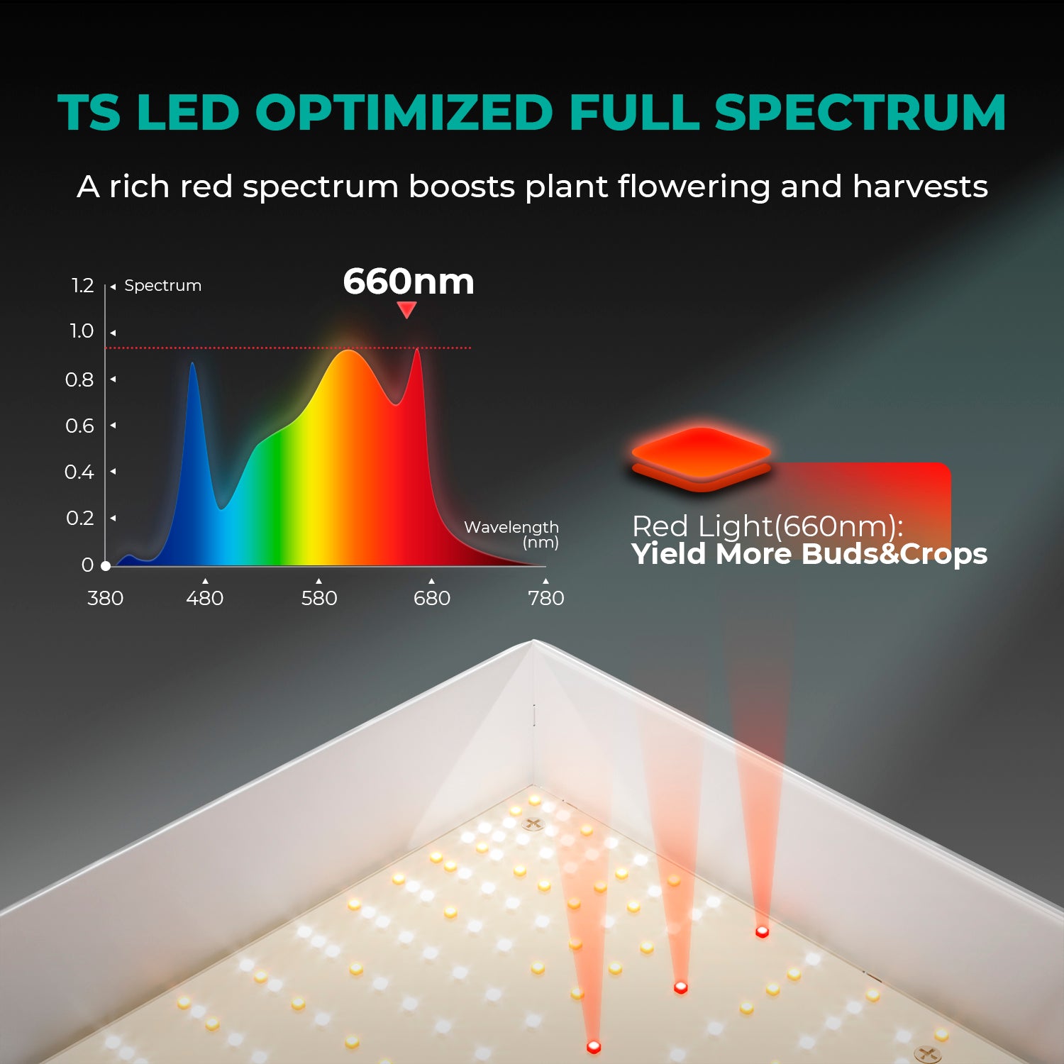 Mars Hydro TSW 2000 LED Grow Lampe-300W Vollspektrum für große Setups