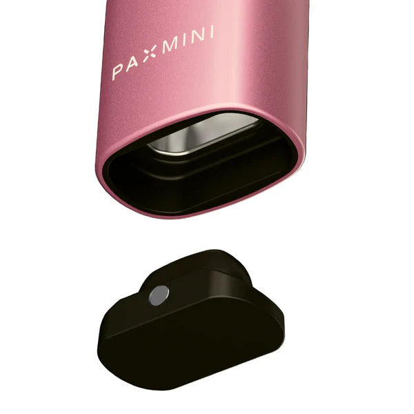 Pax Mini 2 Pink Crush
