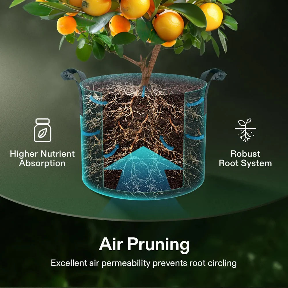 Smart Growbox Komplettset GIY-SGS-55 150 x 150 x 200 cm,  für 6 Pflanzen, mit WiFi E42A Controller, 3 x 200W AeroLight Wing SE LED Pflanzenlampe und 15 cm AeroZesh G6 Abluftset