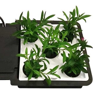 AUTOPOT AQUAplate Square Kit