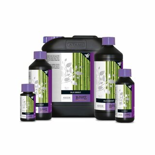 ATAMI B'Cuzz Silic Boost 250ml