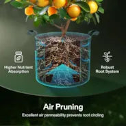 Vivosun 95L Grow Bags 5er-Pack, Schwarz, verdickte Vliesstofftöpfe mit Griffen und multifunktionalen Ringen