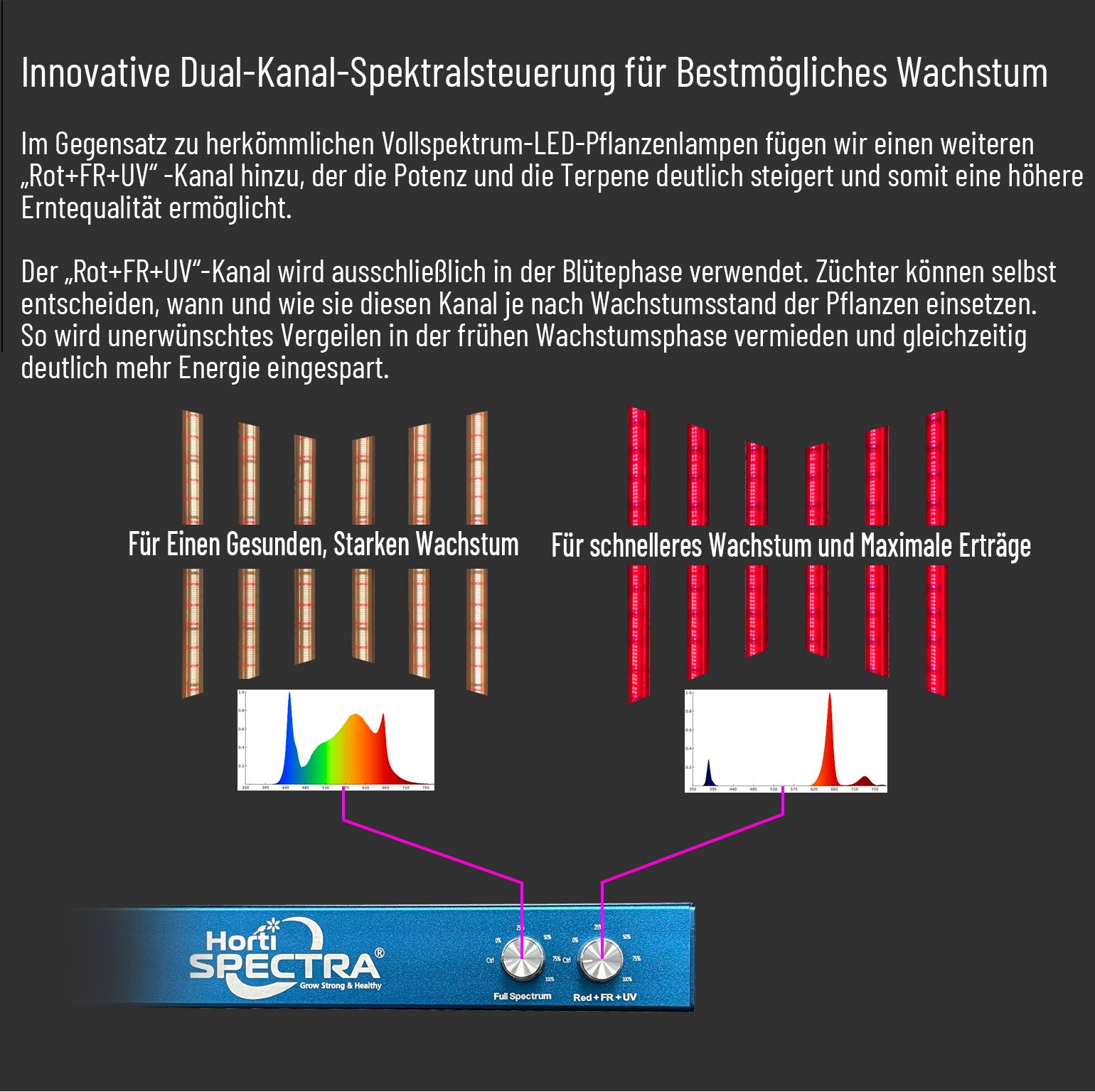 Horti Spectra B200 Plus X2 200W LED-Pflanzenlampe mit zwei Lichtkanälen für alle Wachstumsphasen