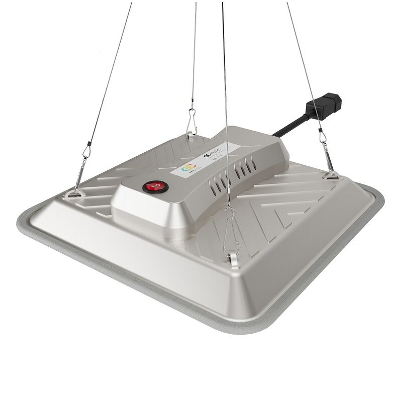 Greenception GC-Pure 80W