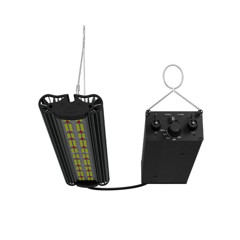 Greenception GCx-2 solo PWR 80W