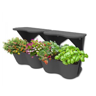 Romberg BoQube Flexi Garden Anthrazit