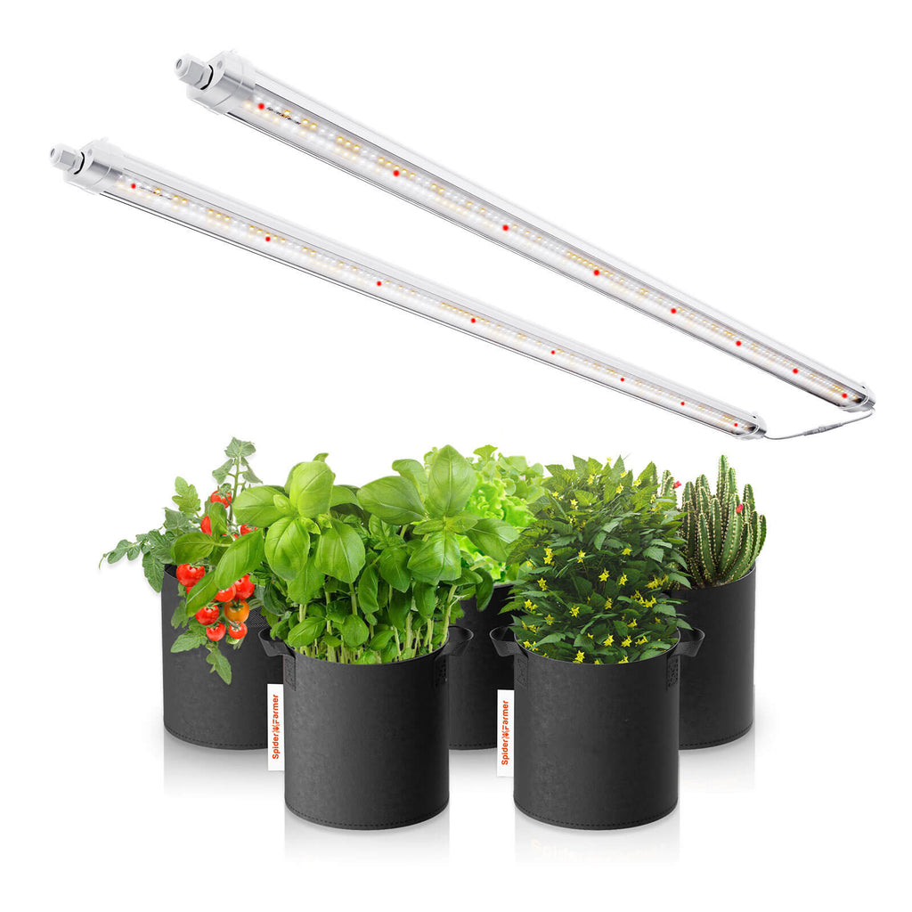 2025: Spider Farmer® Glow80 80W LED-Pflanzenlampen, Vollspektrum, IP65 wasserdicht, mehrere Lampen koppelbar für Zimmerpflanzen, Sukkulenten, Stecklinge, Wachstums- und Blütephase