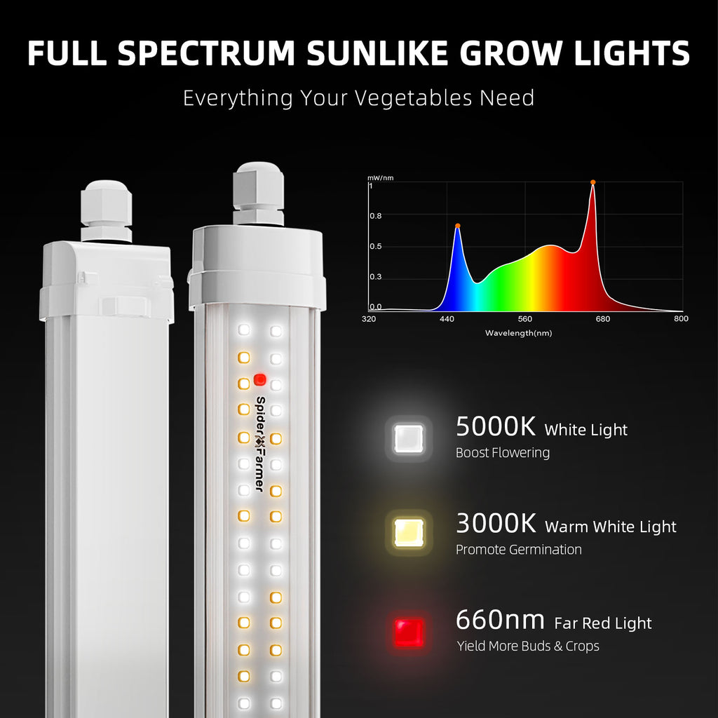 2025: Spider Farmer® Glow80 80W LED-Pflanzenlampen, Vollspektrum, IP65 wasserdicht, mehrere Lampen koppelbar für Zimmerpflanzen, Sukkulenten, Stecklinge, Wachstums- und Blütephase