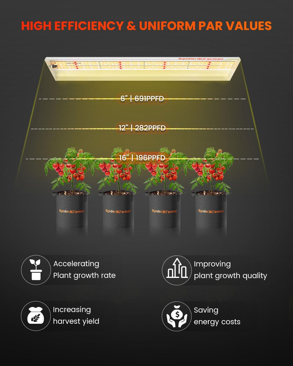 2025 Spider Farmer SF300 33W LED-Pflanzenlampe für die Anzucht von Setzlingen im Indoor-Garten