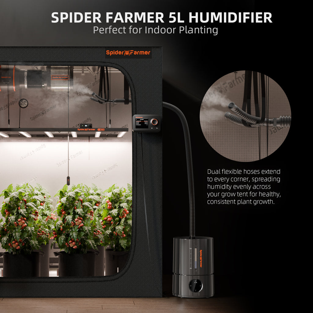 Neue Version 2025: Spider Farmer® 5L Smart Cool Mist Luftbefeuchter mit Temperatur- und Feuchtigkeitssensor, intelligenter App-Steuerung und ausziehbarem Schlauch für Pflanzen im Indoor-Anbauzelt