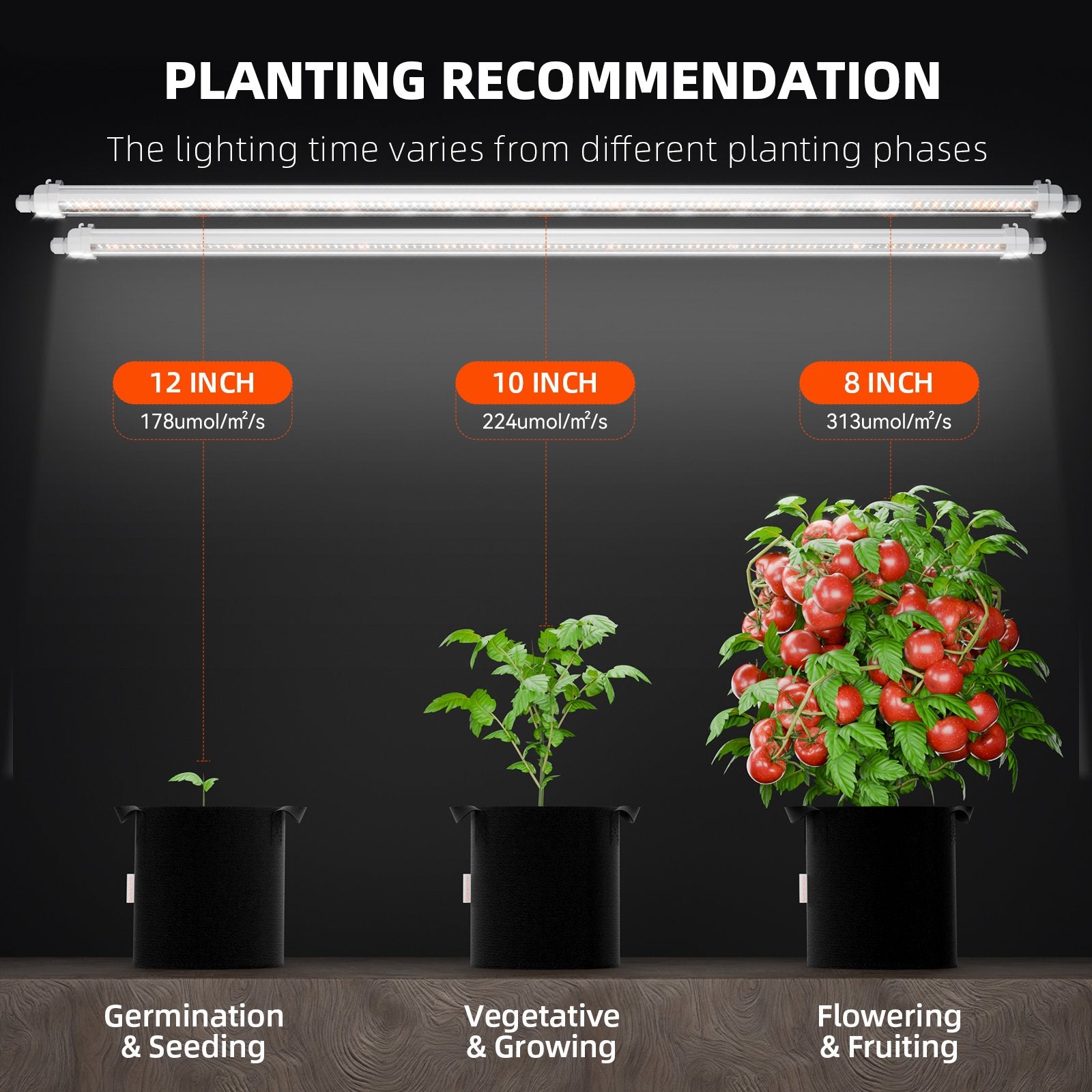 2025: Spider Farmer® Glow80 80W LED-Pflanzenlampen, Vollspektrum, IP65 wasserdicht, mehrere Lampen koppelbar für Zimmerpflanzen, Sukkulenten, Stecklinge, Wachstums- und Blütephase