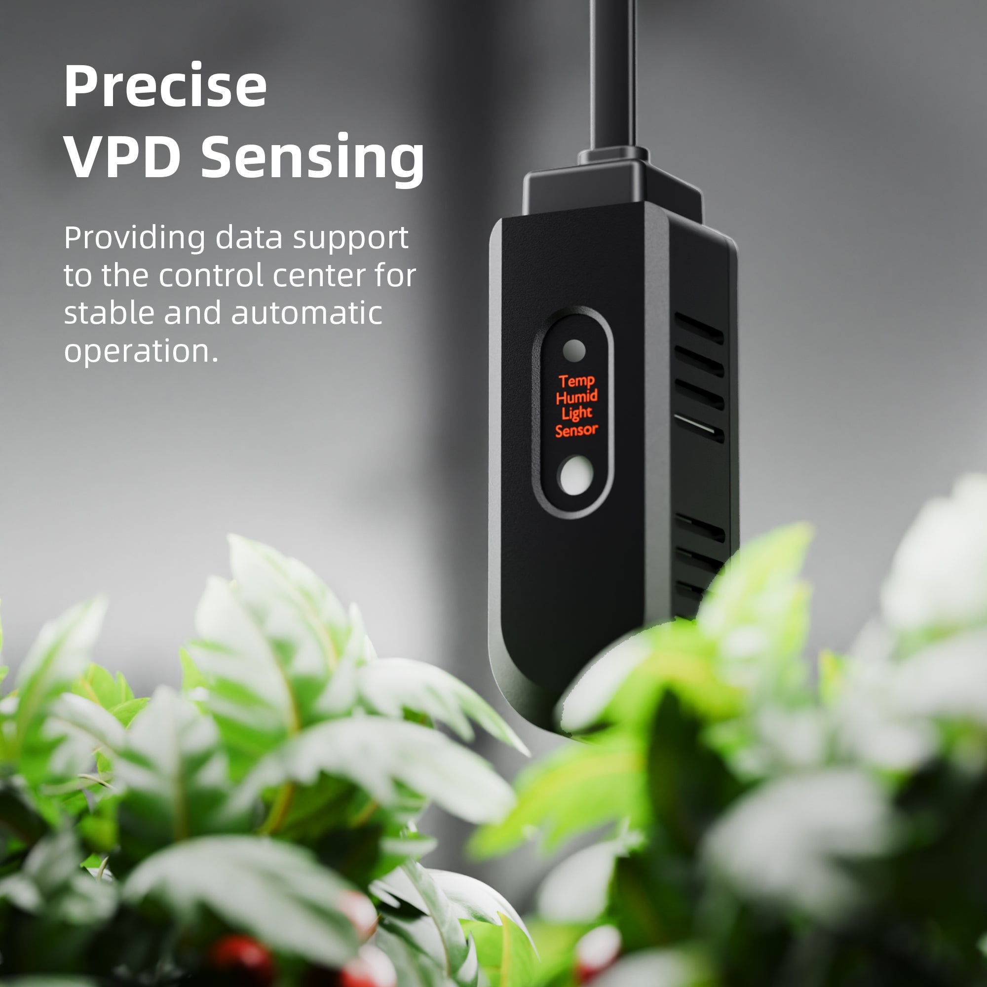 2025 Spider Farmer GGS AC5 Steckdosenleisten-Sets mit Next-Gen 6" Clip-Lüfter & 4" Inline-Lüfter (mit RJ12-Anschluss), Lüftungskanälen und Kohlefilter-Sets (Leuchte nicht enthalten)