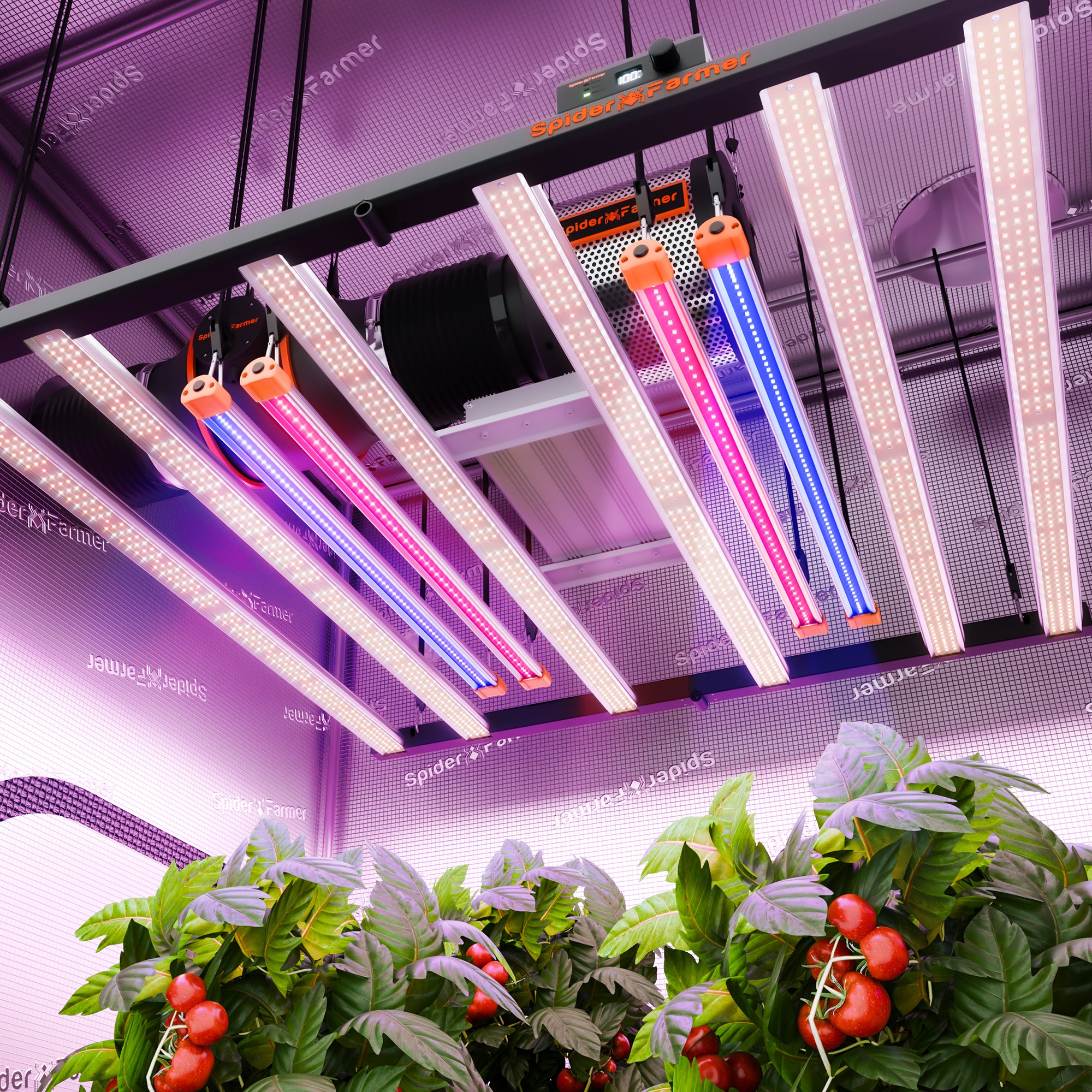 2025 Neuestes Spider Farmer UV30 & IR16 LED-Pflanzenlichtleisten-Set (60 cm) – Verbesserte UV- und Infrarot-Ergänzung für Pflanzen