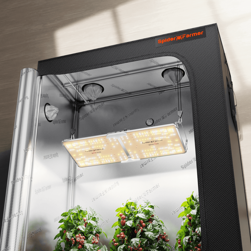 2025 Spider Farmer® SF2000 200W Vollspektrum-LED-Pflanzenlampe | 140x70x200cm Komplettes Growzelt-Set
