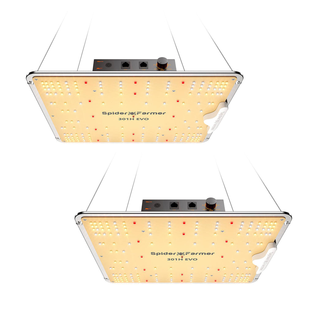 2er-Pack | Neueste Version 2025: Spider Farmer® SF1000 Samsung LM301H EVO LED-Pflanzenlampe für 70x140cm Zelt, 3-6 Pflanzen