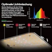 Vivosun Standard Growbox Komplettset GIY-27 80x80x160cm, Komplettsystem für 2 Pflanzen, mit 100W VS1000 LED Pflanzenlampe, 10 cm Belüftungskombination