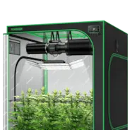 Vivosun Smart Growbox Komplettset GIY-SGS-55 150 x 150 x 200 cm, Komplettsystem für 6 Pflanzen, mit WiFi E42A Controller, 3 x 200W AeroLight Wing SE LED Pflanzenlampe und 15 cm AeroZesh G6 Abluftset