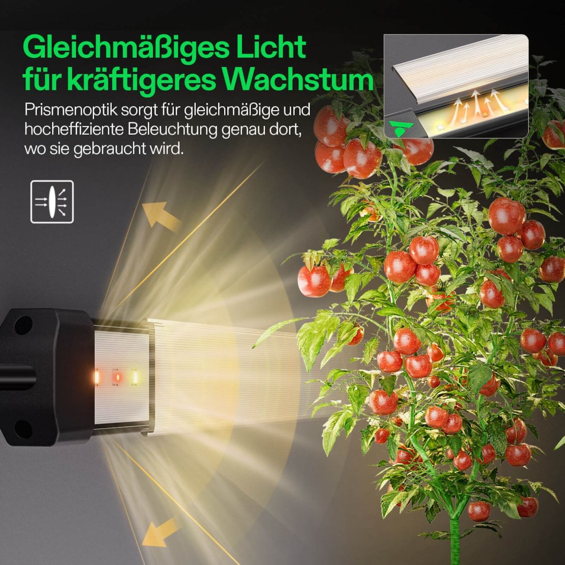 Vivosun LumaRay Lichtleiste (8-Balken), Vollspektrum LED-Lichtbalken, SGS-kompatibel