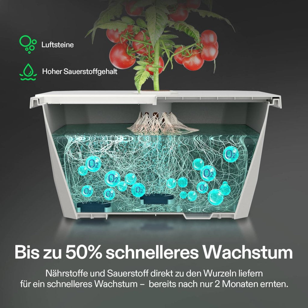 Vivosun VGrow DWC Hydroponisches Anzuchtsystem-Set für die VGrow Smart Grow Box, 15 Liter-Deep-Water-Culture mit Luftsteinen und Rapid Rooters, nicht kompatibel mit E42A
