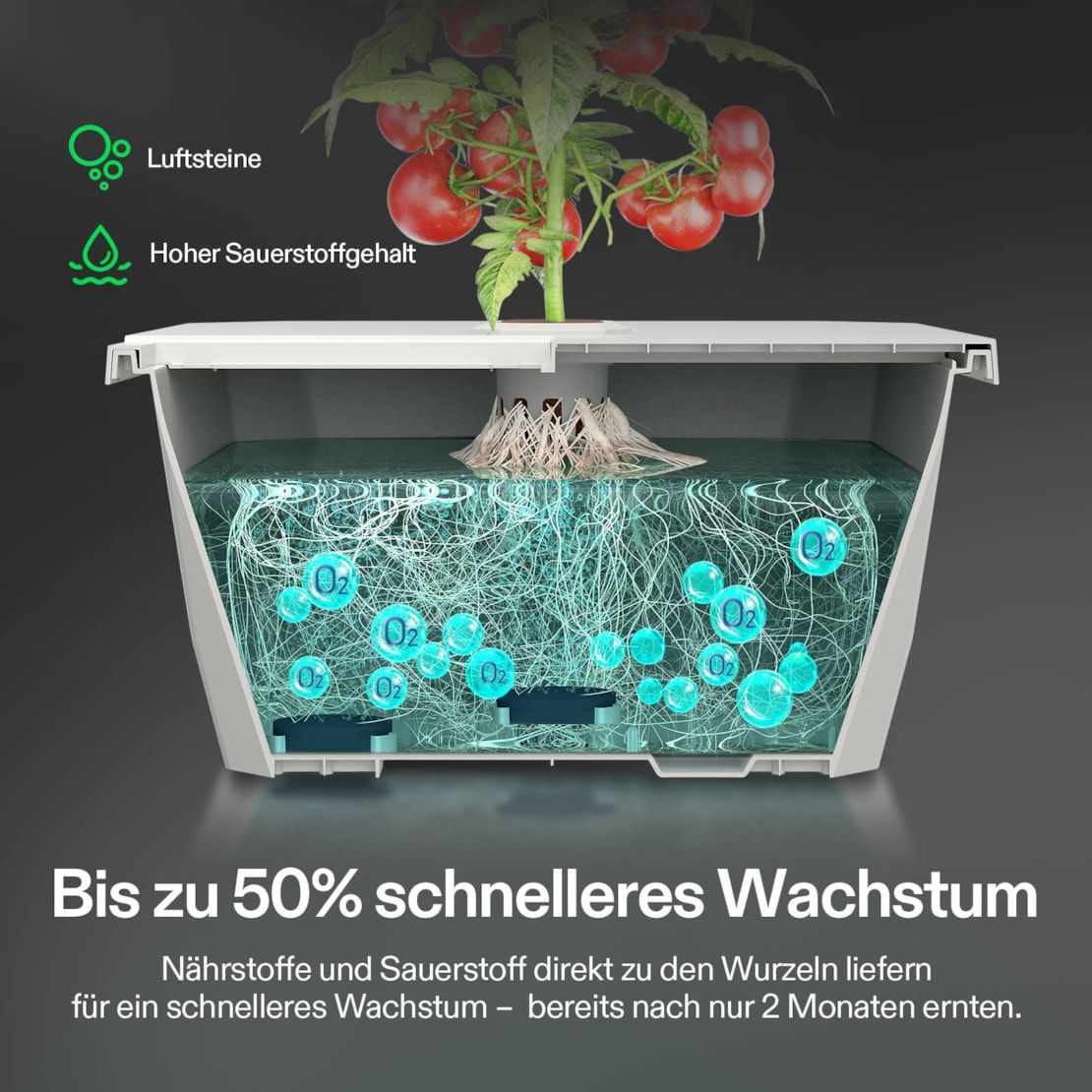 Vivosun VGrow DWC Hydroponisches Anzuchtsystem-Set für die VGrow Smart Grow Box, 15 Liter-Deep-Water-Culture mit Luftsteinen und Rapid Rooters, nicht kompatibel mit E42A